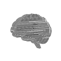 Phenotype AI