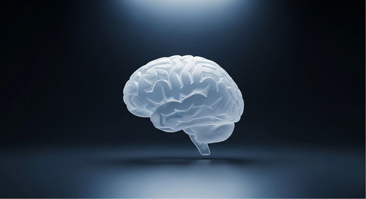 NeuroOMx Main