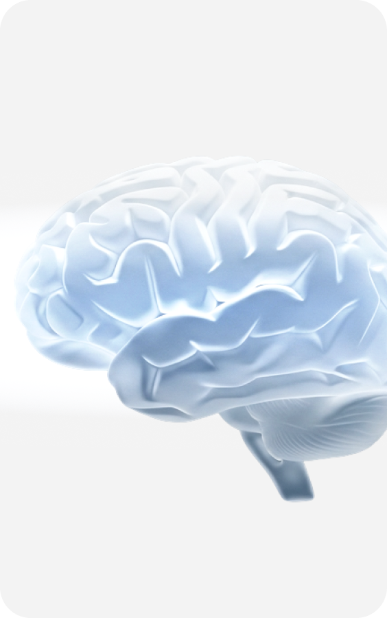 MRI Analysis 3